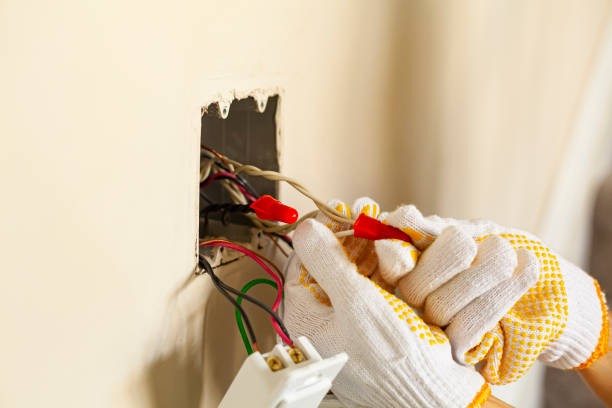 Best Surge Protection Installation  in Marlette, MI